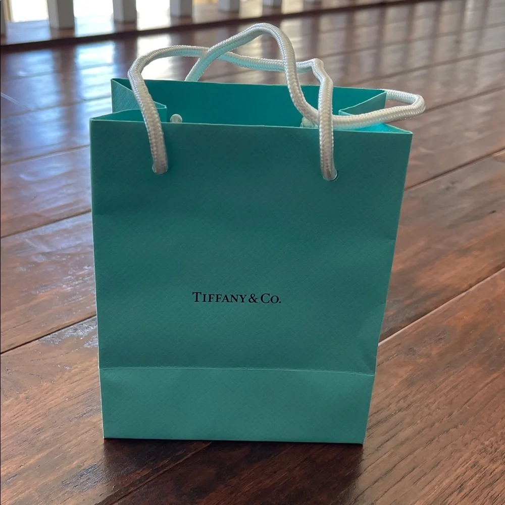 Tiffany Shopping Bag, Jewelry Bag, Blue Box & Envelope - NWT - Picture 3 of 11